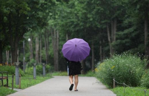 Lluvia en la costa este y chubascos en el interior; máxima de 34°C el 13 de agosto