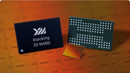 China cracks memory club, but harder test looms