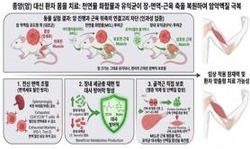 Phát hiện hướng điều trị suy mòn do ung thư bằng hệ vi sinh đường ruột 