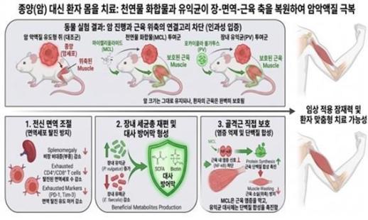 Phát hiện hướng điều trị suy mòn do ung thư bằng hệ vi sinh đường ruột 
