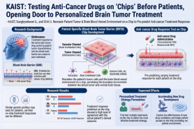 Brain tumor chip predicts which drug works for each patient