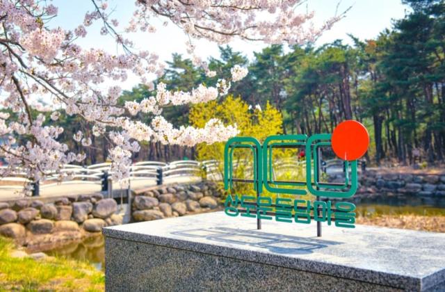삶터를 고치고 도시의 이야기를 담다… 속초 도시재생 ‘순항’_상도문 돌담마을 사진속초시