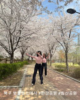 대구 북구 직원들이 직접 찍는다…관광 홍보 크리에이터 뜬다