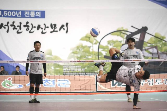 2026 서천 맥문동배 왕중왕전 족구대회 포스터사진서천군