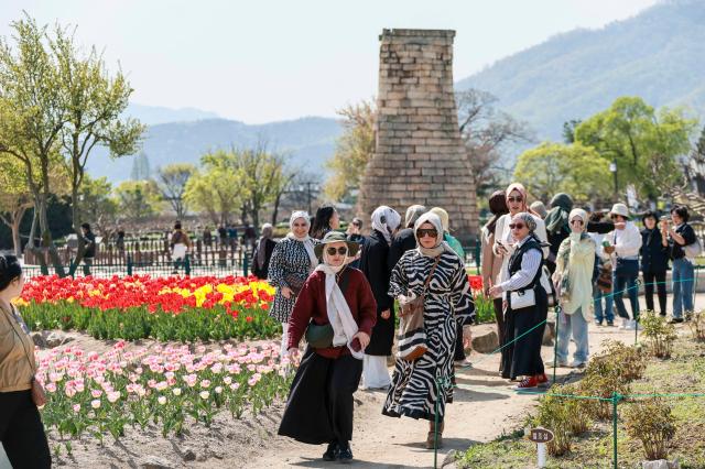 경주를 찾은 외국인 관광객들이 첨성대 일원에서 봄꽃과 신라 문화유산을 둘러보며 관광을 즐기고 있다 사진경주시