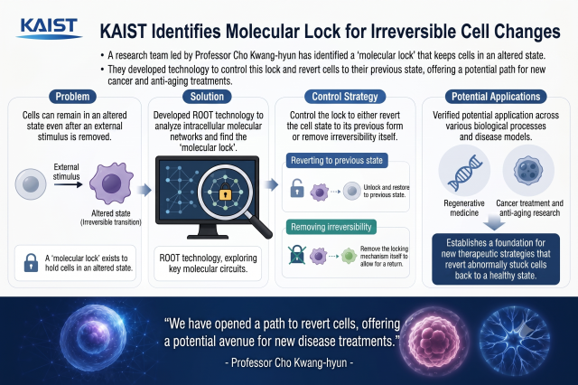 KAIST finds molecular lock that traps cells in cancer-like states