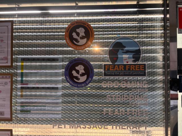 English-language signage is seen at a pet-grooming shop in Haebangchon Yongsan District central Seoul on Aug 20 2026 AJP Ryu Yuna