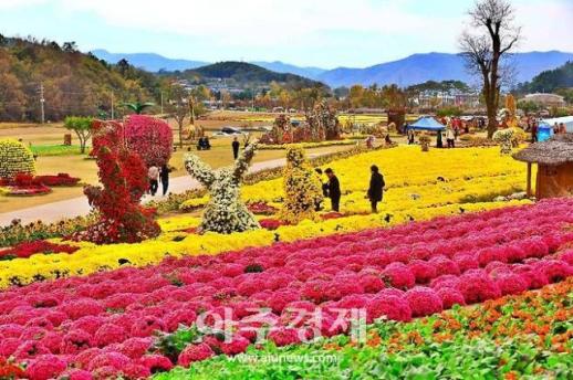 화순군 올해 고인돌축제 관람객 중심 실속 축제로 