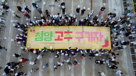 김치 버무리고 매운맛 겨루고…청양 고추구기자축제 체험객 모집