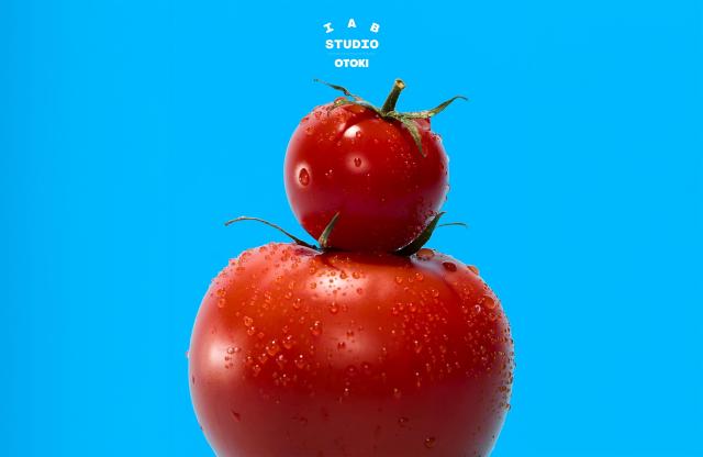오뚜기X아이앱스튜디오 의류 협업 포스터 이미지 사진오뚜기