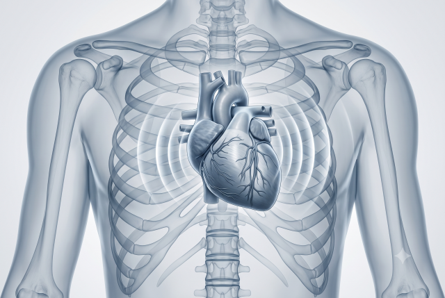 Researchers develop embryo-like stem cell heart model 