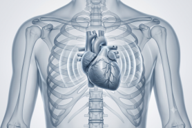 Researchers develop embryo-like stem cell heart model