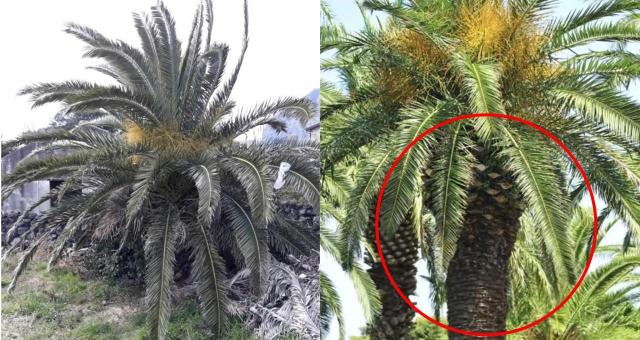 لقطة من منتديات الإنترنت