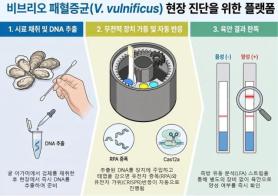 Thời gian kiểm tra vi khuẩn Vibrio giảm từ một ngày xuống còn một giờ