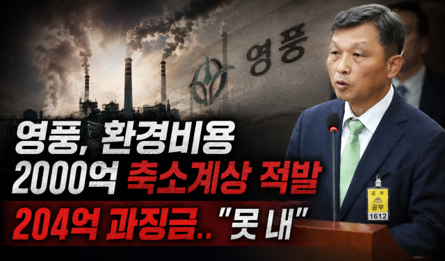 김기호 영풍 대표이사  출처  국회방송 및 자체 그래픽