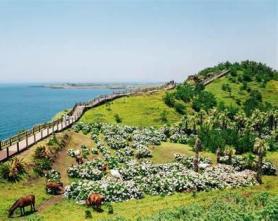 Jeju deaths cast shadow over Korea police power shift