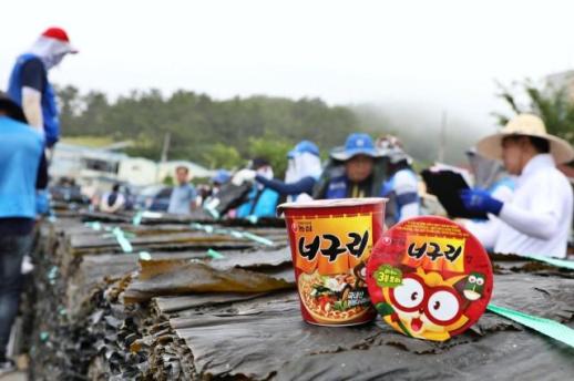 45년째 너구리 속 완도 다시마…농심, 올해도 490톤 매입