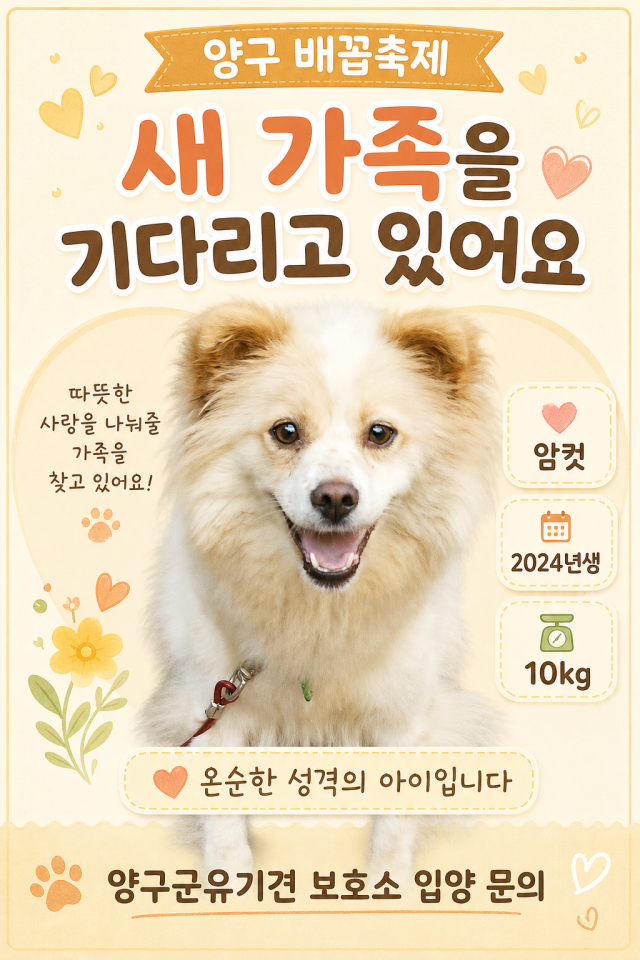 강원 양구군이 오는 28일부터 30일까지 ‘2026 국토정중앙 청춘양구 배꼽축제’에서 올바른 반려동물 문화 확산과 유기견 입양 활성화를 위해 운영하는 ‘반려동물과의 동행’ 캠페인 홍보 포스터 사진양구군