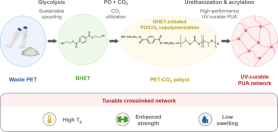 Sookmyung team tunes coating strength by adjusting CO2 pressure