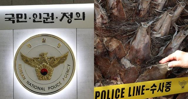 사진연합뉴스