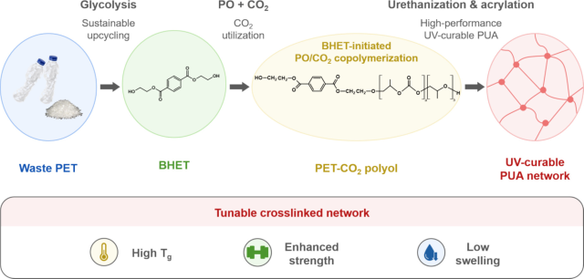 Sookmyung maps titanium nanomaterials for cancer treatment