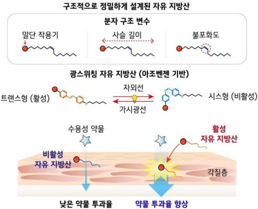 POSTECH - KAIST tìm ra nguyên lý giúp đưa thuốc qua da thay vì tiêm 
