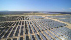 PARU extends rally after share consolidation