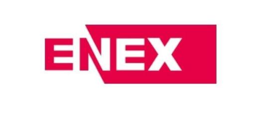 [특징주] 에넥스, 관리종목 지정 우려에 27% 급락