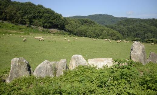 국내 첫 화천산 램…사내면 대표 먹거리 될까