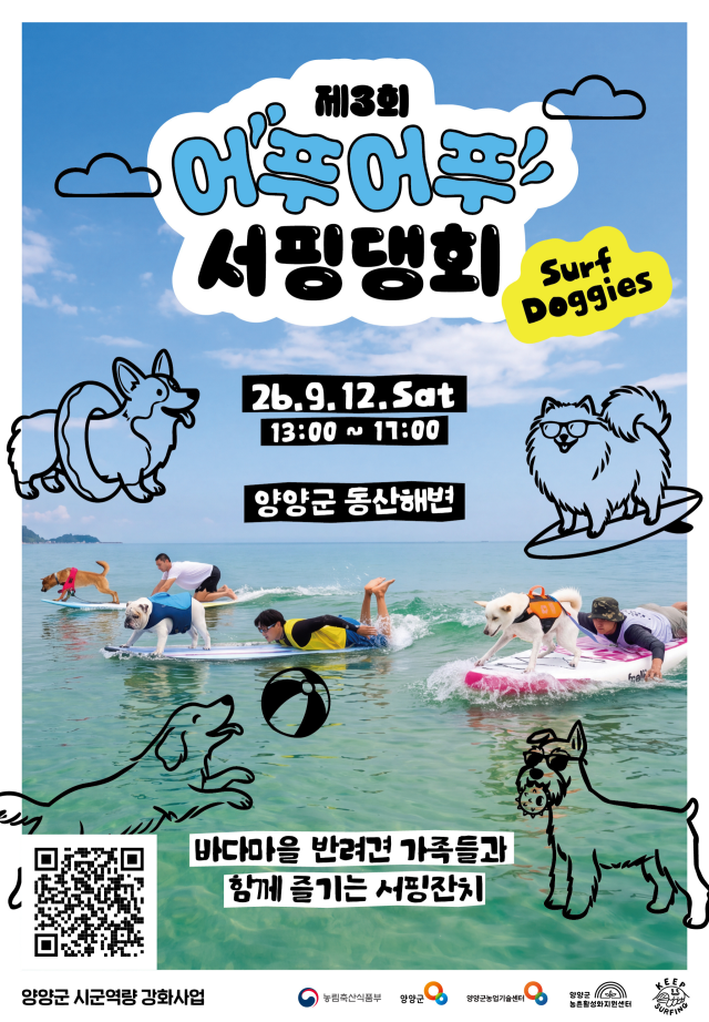 서핑댕회 포스터 사진양양군
