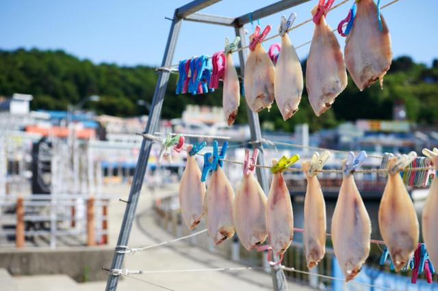 Public Home Shopping faces origin-fraud probe over seafood sales