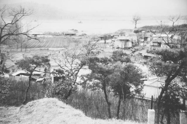 1961년의 서울 압구정동 모습사진강남구청 