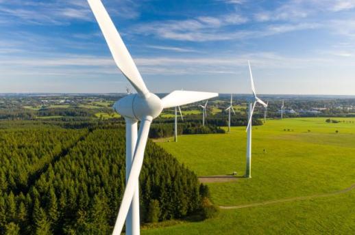 Korea scraps renewable quotas in energy transition push