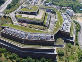 Naver bets on solar to power AI data centers