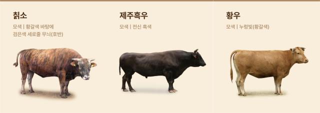 한우 품종별 특성 사진한우자조금