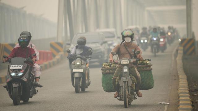 인도네시아 산불로 발생한 짙은 연무가 도로를 뒤덮었다 사진연합뉴스AP
