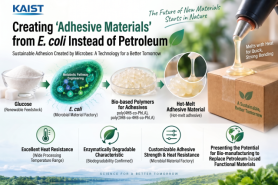 Microbes make adhesive that outgrips petroleum glue on steel