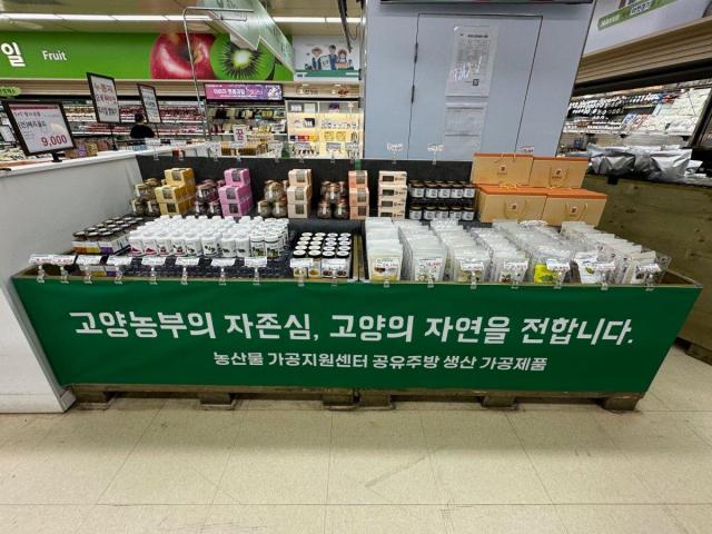 사진고양시