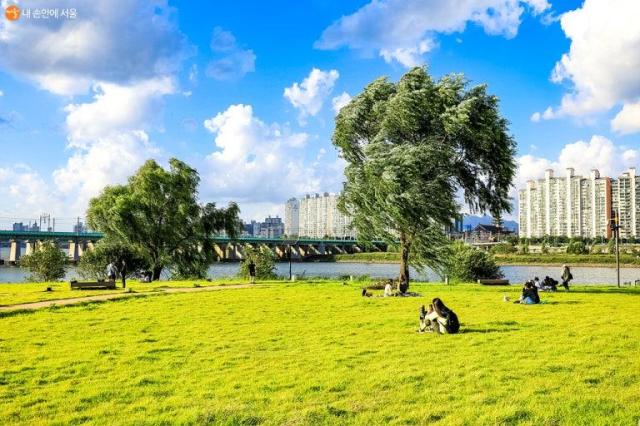 Đảo Nodeul
Ảnh Chính quyền thành phố Seoul