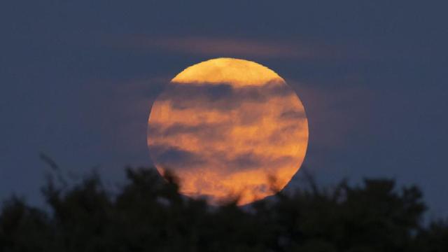 صورة للقمر الكامل كما يُرى من حديقة سماء سيول [الصورة: وكالة يونهاب]