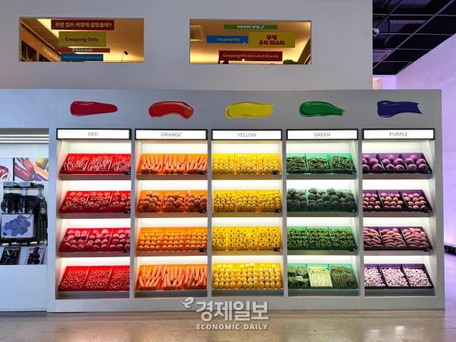 색깔 별로 전시되어 있는 과일 채소들 사진정보운 기자