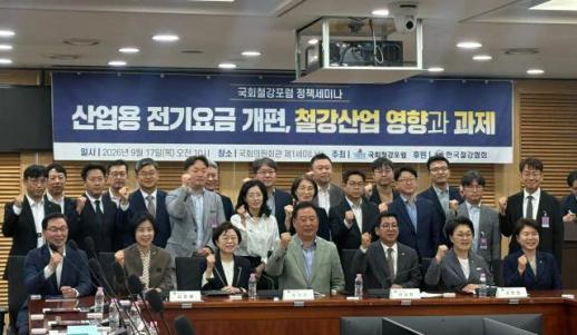 전기료 10% 내려도 역부족…철강업계 별도 지원체계 마련해야