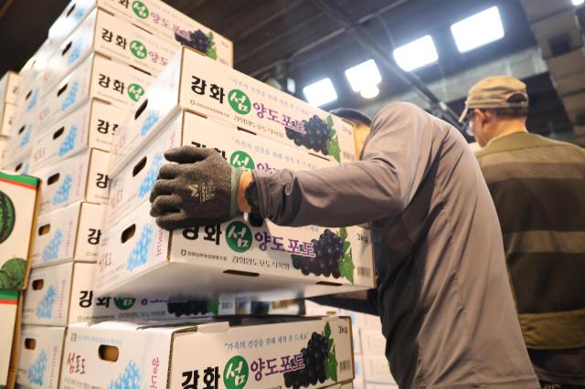 Fruit is piled high at the NongHyup Garak Agricultural Products Market inside the Garak Agricultural and Marine Products Wholesale Market in Songpa District Seoul South Korea Sept 10 2026 ahead of the Chuseok holiday Aju Business Daily Yoo Na-hyun