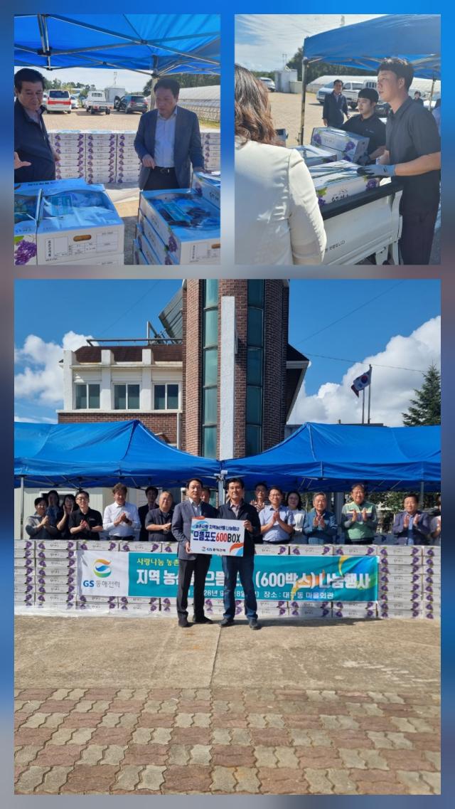 이날 포도는 인근 경로당과 저소득층 가정 장애인단체 등 도움이 필요한 기관과 가구에 고루 전달되고 있다 사진이동원 기자