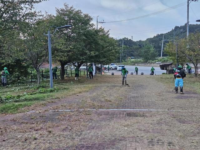 문경시새마을회 회원들이 16일 추석맞이 제초작업을 하고 있다사진문경시