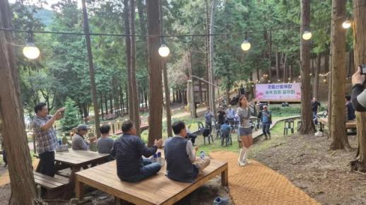 진도 운림산림욕장, 꽃무릇·편백숲 사이로 흐른 가을 선율