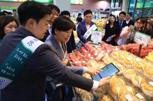 내 주변 농축산물 가격 한눈에…알뜰하게 장볼지도 시범 출시