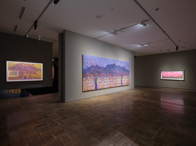 Vista de la exposición 