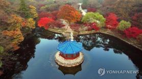 Núi Naejangsan ở Jeongeup dự kiến vào mùa lá đỏ đẹp nhất ngày 7-8/11
