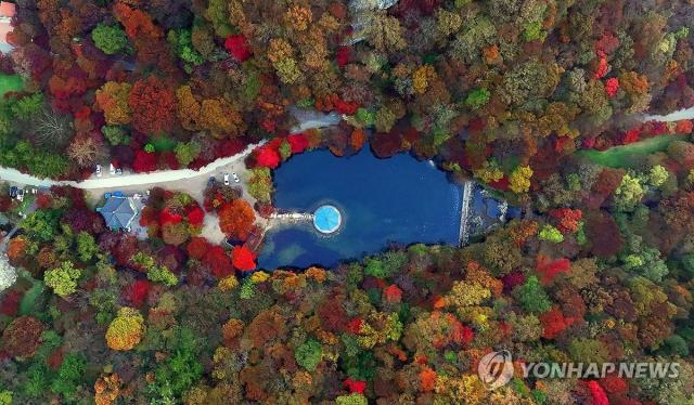 Lá mùa thu trên núi Naejangsan đang dần chuyển màu

Ảnh Yonhap News
